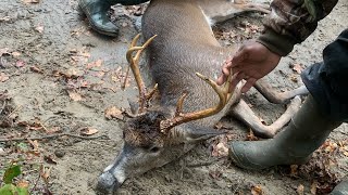 SC Deer Hunting With Dogs 2023| “Can’t Kill ‘Em All Bubba” (Live Action) Pine-top Huntin Club