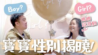 性別終於揭曉啦！是男生還是女生呢？我們的性別趴❤️【懷孕日記】