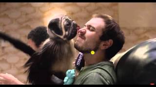 puppy monkey baby mtn. dew commercial