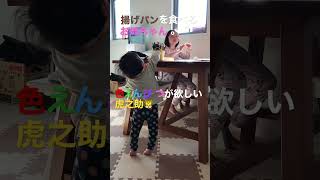 虎之助。1歳2ヶ月。背伸びして頑張る虎之助。#shorts #あかちゃん #baby