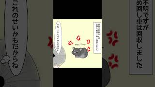 チンチラの飼育エッセイ漫画【こたろうはケージ暮らし】こたろうの骨折FINAL