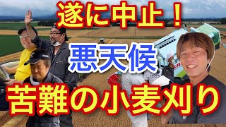 悪天候！【苦難の小麦刈り！】遂に中止に！