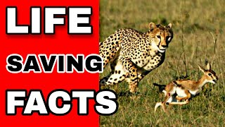 Life Saving Facts|Part-1|Fact2Fact| #Shorts