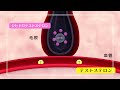 aga（男性型脱毛症）のメカニズム