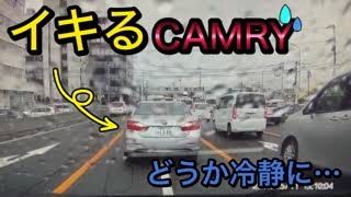 【ドラレコ】交通事故・危険運転・あおり運転 2020 日本4