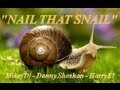 MUNGO JERRY'S Ray Dorset & JERICO'S Danny Shoshan - NAIL THAT SNAIL!