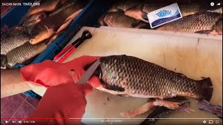 SAZAN NASIL TEMİZLENİR how to clean carp (BALIK TEMİZLEME , BALIK PİŞİRME)