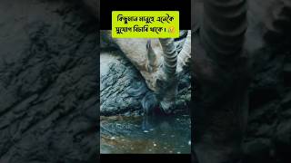 কিছুমান মানুহে এনেকৈ সুযোগ বিচাৰি থাকে #viral #sadstatus #youtubshort