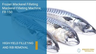 FR-150 Previously Frozen Mackerel Filleting Machine