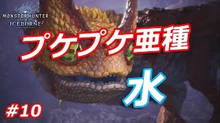 #10【MHWI】毒じゃなくて水！？プケプケ亜種を一狩り【モンハンワールド：アイスボーン】