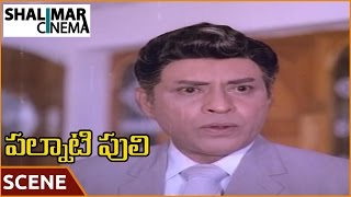 Palnati పులి సినిమా || Jaggayya యాంగ్రీ Bhimaraju సన్నివేశం || బాలకృష్ణ, Bhanupriya