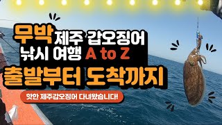 핫한 제주 갑오징어낚시 당일치기 A to Z[아람스 채널]