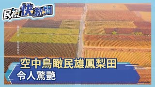 空中鳥瞰民雄鳳梨田 令人驚艷－民視新聞