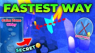 How to Skip Calm Zone OBBY in Fisch! (FAST SECRET WAY)