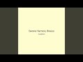 Serene Harmony Breeze