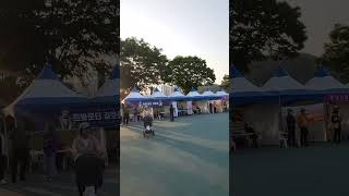 화순 고인돌 축제장 💜 보라색 아리스 💜