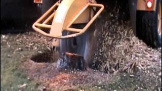 Yellow Pine stump removal.wmv