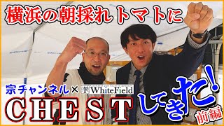 メジャーリーガーがトマト狩りに来た！　前編　【トマト専用全自動ビニールハウス】【横浜朝採れトマト】【チェストマト】  /@munekawasaki52