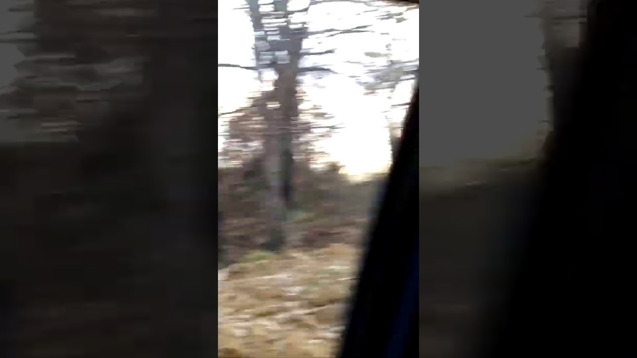 Vid 20191227 170451 Youtube