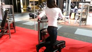 Gymleco sittande midjerotator 376