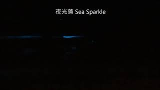 夜光藻 Sea Sparkle