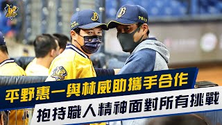 【2022人物專訪】平野惠一與林威助攜手合作，抱持職人精神面對所有挑戰！CTBC BROTHERS 中信兄弟 平野惠一 ひらの けいいち Hirano Keiichi