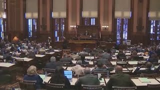 Dems say GOP hijacked redistricting in Georgia