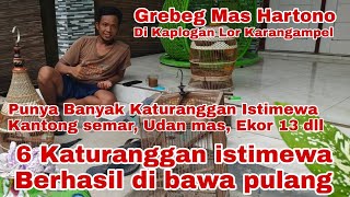 Perkutut Istimewa berhasil di bawa pulang‼️Grebeg mas Hartono punya Kantong Semar, Ekor 13 dll