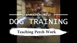 Prodogz Video Series: Perch work with \