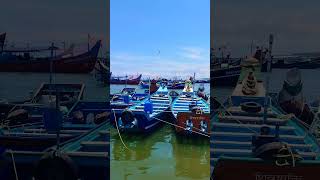 koyilandy fishing harbour Kozhikode #viralvideo