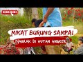 MIKAT BURUNG SAMPAI NABRAK DI HUTAN ANGKER ( Pikat Burung Production )