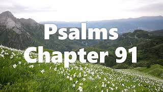 The Book of Psalms Chapter 91 - New King James Version (NKJV) - Audio Bible
