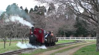 Steam of Narita-Yume farm  in Japan (Apr.,2009)成田ゆめ牧場まきば線　2009年4月