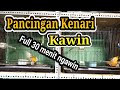 Masteran Suara Pancingan Kenari Betina BIRAHI minta KAWIN - Dijamin Kenari cepet KAWIN