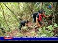 JOM JALAN-JALAN- GUNUNG SIMUKUT  PULAU TIOMAN [6 JAN 2017]