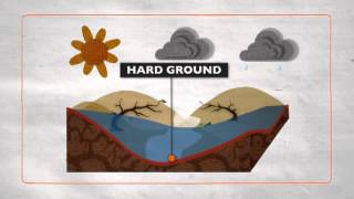 Floods explained