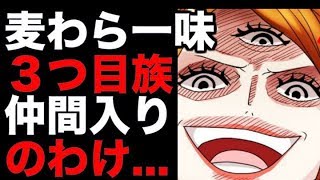 【ワンピース】麦わら一味に３つ目族が加わる！（考察）