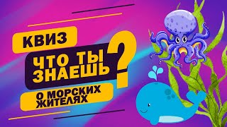 Квиз Морские жители / Детская развивающая викторина