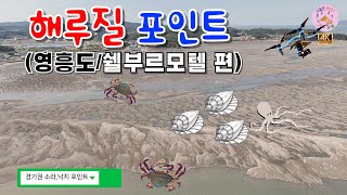 해루질 포인트 지형영상 (영흥도 / 쉘부르모텔 포인트) #경기권 #영흥도 #소라