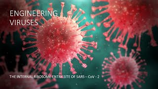 THE INTERNAL RIBOSOME ENTRY SITE OF THE CORONAVIRUS