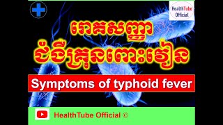 រោគសញ្ញាជំងឺគ្រុនពោះវៀន/Symptoms of typhoid fever l HealthTube Official