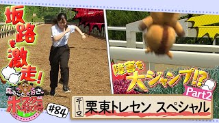 馬るごと大好き♡ポスター牧場　第８４話「栗東トレーニング・センター～Ｐａｒｔ２～」