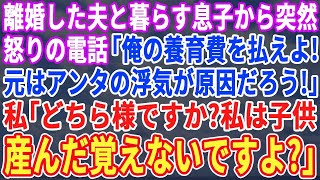 【スカッとする話】離婚した元夫の息子から突然怒りの電話「俺の養育費と学費、早く払え！お前の浮気が原因だろ！」私「どちら様でしょうか？子供産んだ覚えはありませんが？」「え」→実は…【修羅場】