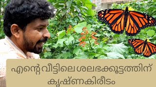 KRISHNA KEREEDOM PLANT HUNTING