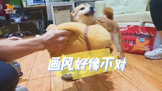 柴犬护食咬人，但是画风好像有点不对，训犬师已懵