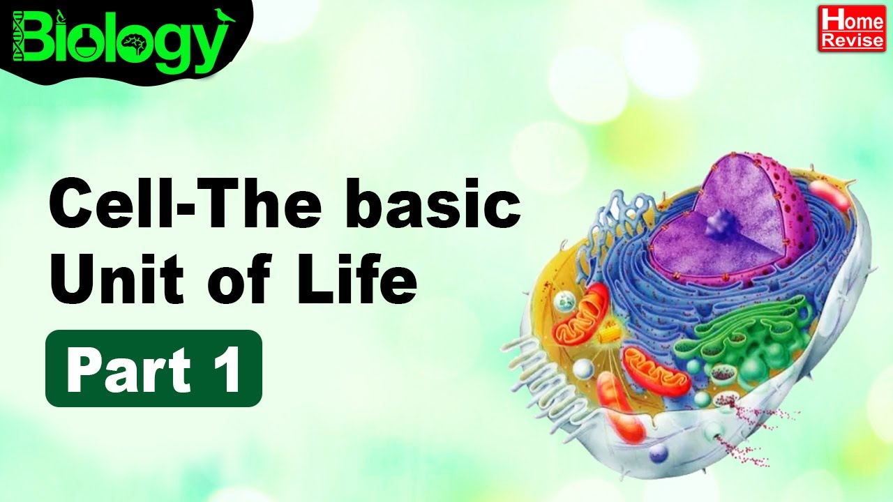 Cell: The Basic Unit Of Life | Part I | Biology | Home Revise - YouTube