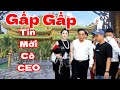 GẤP GẤP Tin Mới CEO Nguyễn Phương Hằng