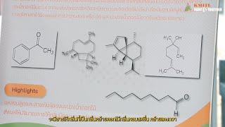 Expertise Cluster EP 14 : สารให้กลิ่นมะม่วง