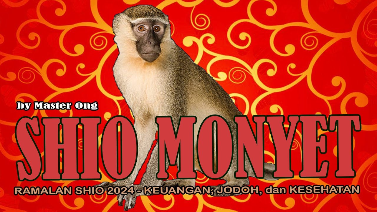 RAMALAN Shio MONYET 2024 - KARTU TAROT Membaca PERUNTUNGAN, KEUANGAN ...