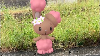 No.111🩷『15分ガラル三鳥』『無料レイド』『今日の撮れ高』PL50の日常【ポケモンGO】#youtube #pokemon #trending